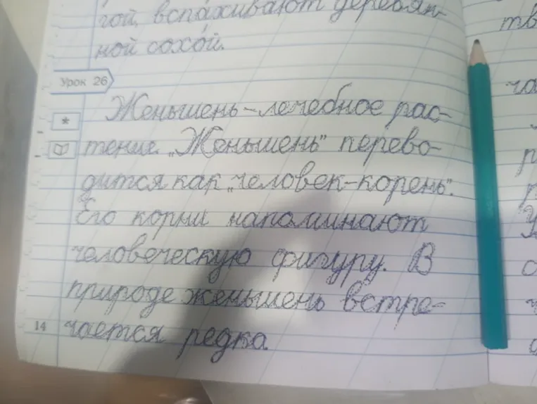 Выделить орфограммы в словах