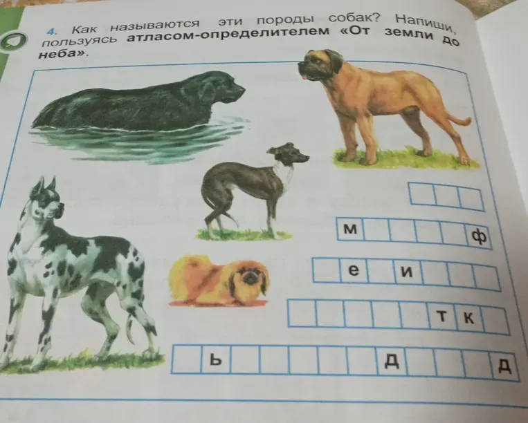 Как называются эти породы собак? Напиши, пользуясь атласом-определителем «От земли до неба».