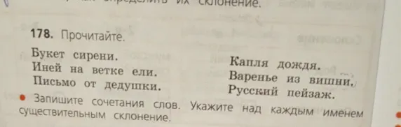 Прочитайте. Запишите сочетания слов. Укажите над каждым именем существительным склонение.