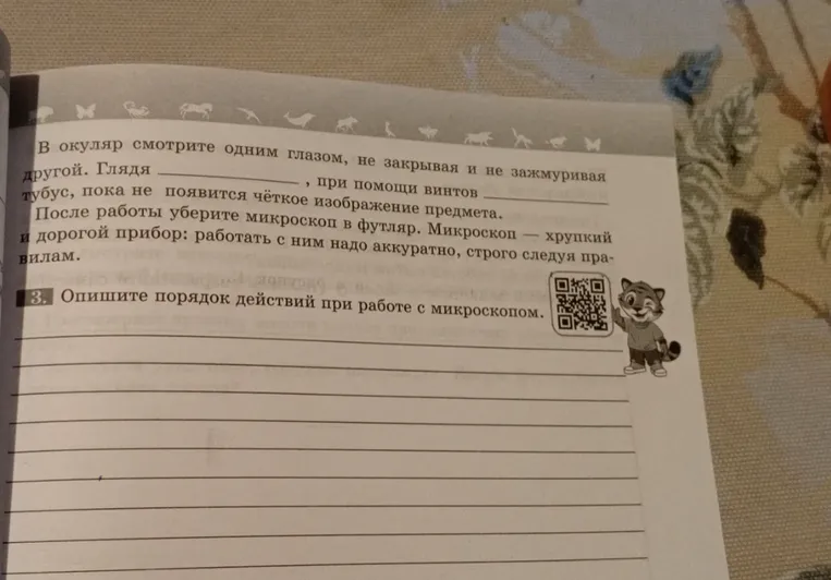Опишите порядок действий при работе с микроскопом.