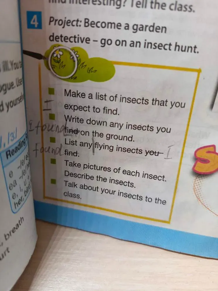 Project: Become a garden detective – go on an insect hunt. Make a list of insects that you expect to find.