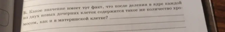 Какое значение имеет тот факт, что после деления в ядре каждой из двух новых дочерних клеток содержится такое же количество хромосом, как и в материнской клетке?