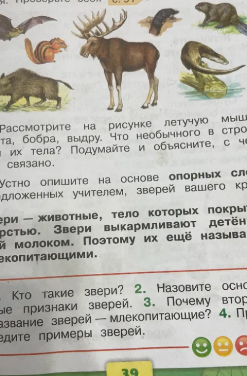 Кто такие звери?