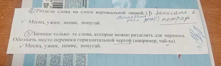 Раздели слова на слоги вертикальной линией. Поставь знак ударения: Месяц, ужин, пение, попугай.