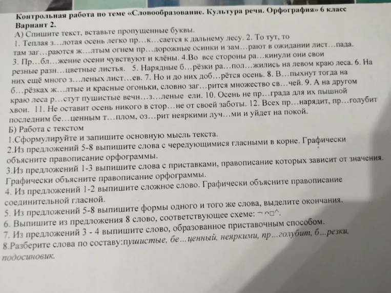 Спишите текст, вставьте пропущенные буквы