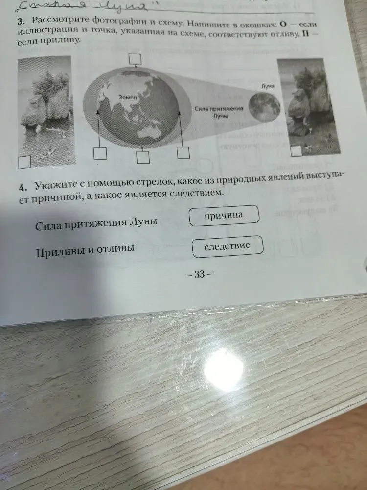 Рассмотрите фотографии и схему. Напишите в окошках: О — если иллюстрация и точка, указанная на схеме, соответствуют отливу, П — если приливу.