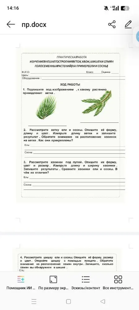 Подпишите под изображениями, к какому растению принадлежит ветка.