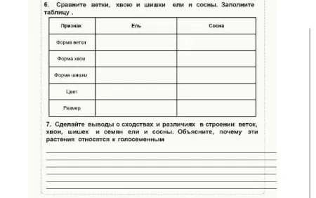 Подпишите под изображениями, к какому растению принадлежит ветка.