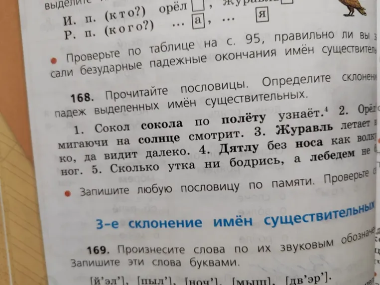 Прочитайте пословицы. Определите склонение и падеж выделенных имён существительных.