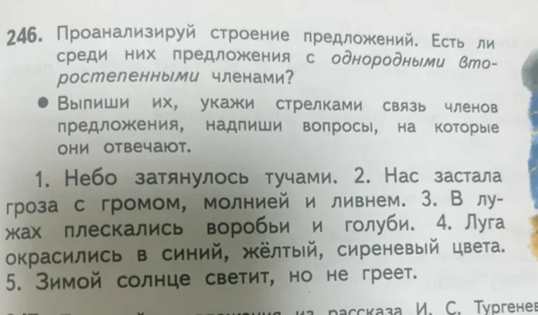 Проанализируй строение предложений. Есть ли среди них предложения с однородными второстепенными членами? Выпиши их, укажи стрелками связь членов предложения, надпиши вопросы, на которые они отвечают.