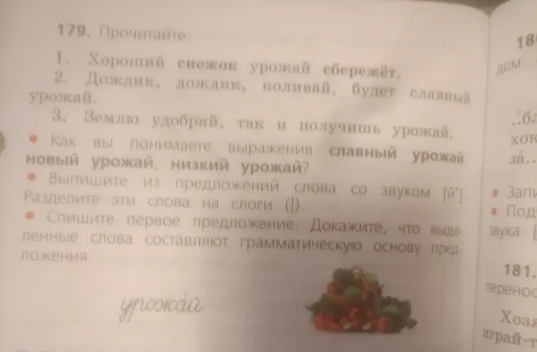 Прочитайте предложения.