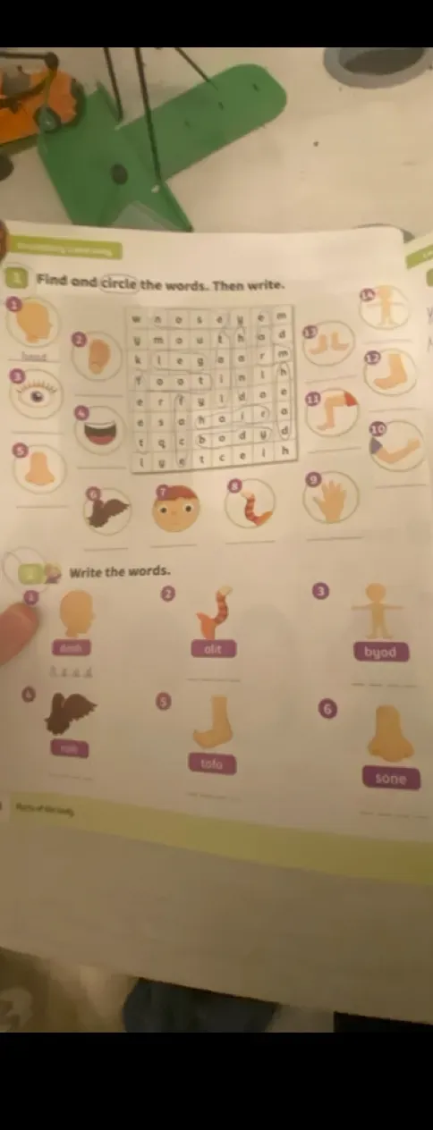 Напишите слова из предложенных букв.