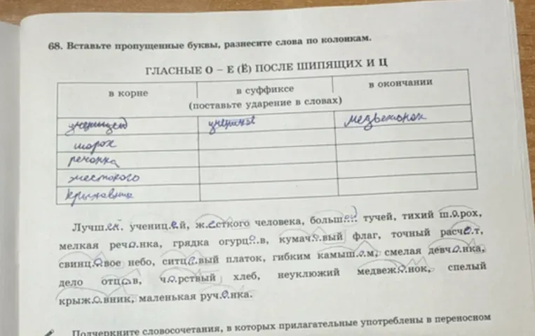 Вставьте пропущенные буквы, разнесите слова по колонкам. ГЛАСНЫЕ О – Е (Ё) ПОСЛЕ ШИПЯЩИХ И Ц