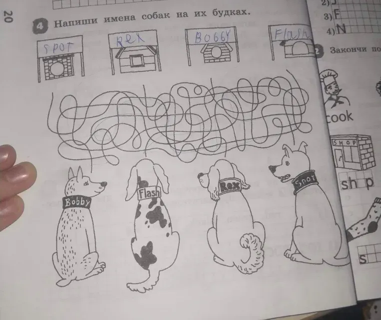 Напиши имена собак на их будках.
