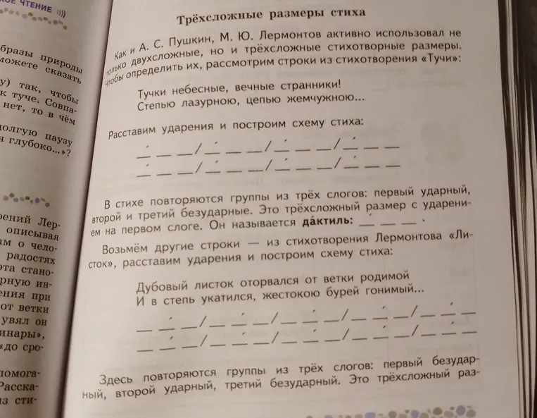 Расставьте ударения и постройте схему стиха «Тучки небесные, вечные странники! Степью лазурною, цепью жемчужною...»