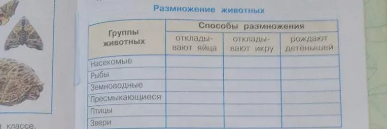 Заполните таблицу "Размножение животных".