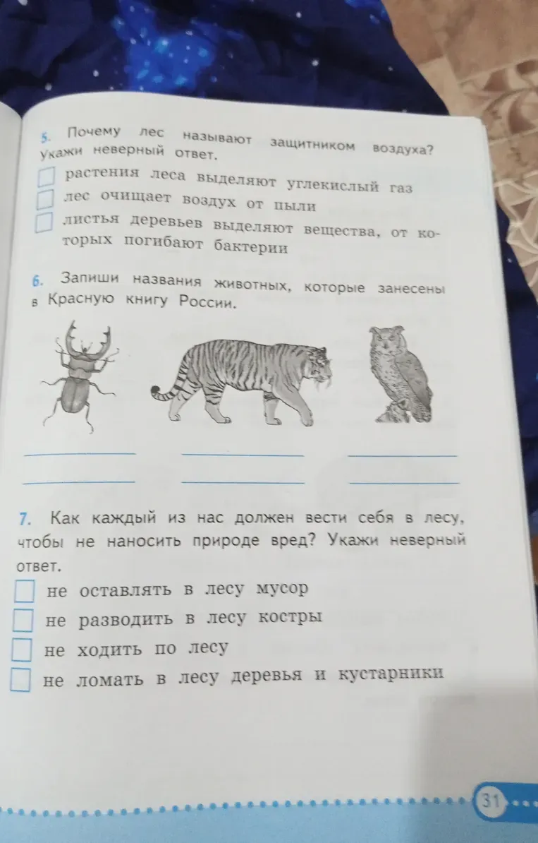 Почему лес называют защитником воздуха? Укажи неверный ответ.