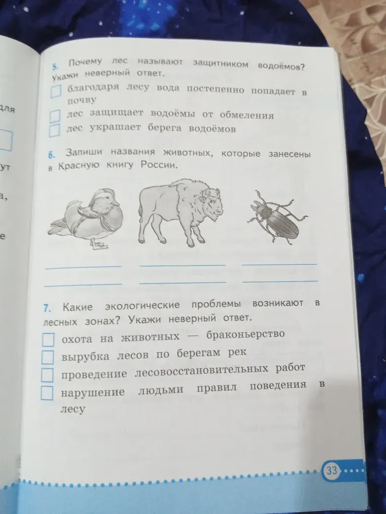 Укажите неверный ответ на вопрос "Почему лес называют защитником водоёмов?"