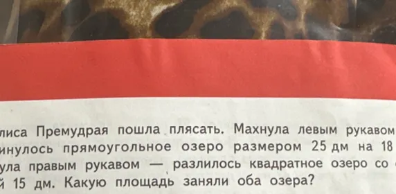 Какую площадь заняли оба озера?
