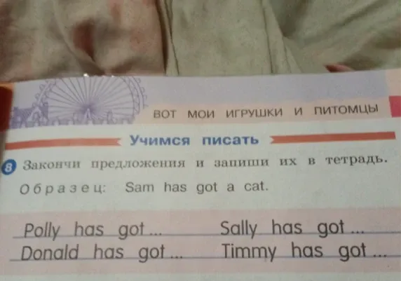 Закончи предложения и запиши их в тетрадь. Образец: Sam has got a cat.