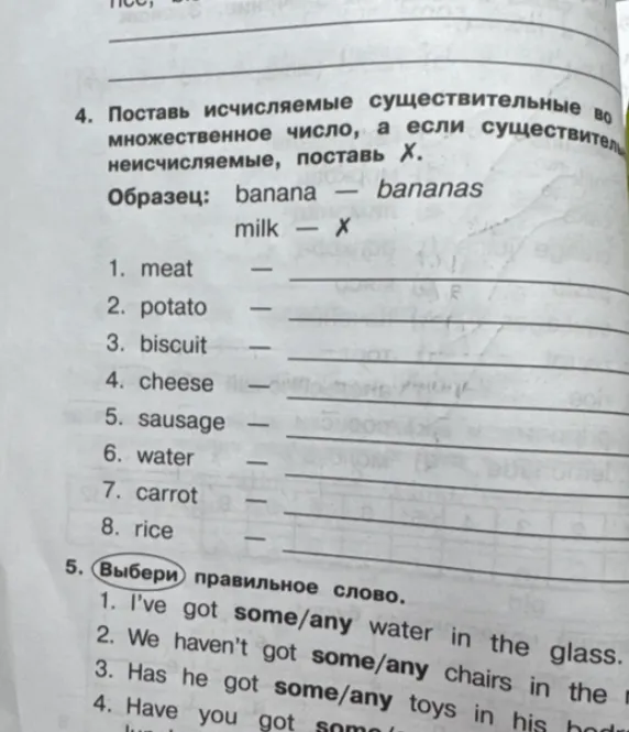 Поставь исчисляемые существительные во множественное число, а если существительные неисчисляемые, поставь X.