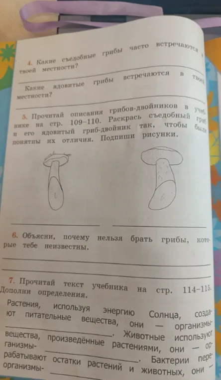 Какие съедобные грибы часто встречаются в твоей местности? Какие ядовитые грибы встречаются в твоей местности?