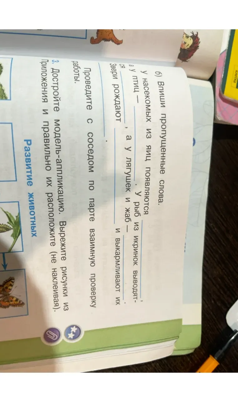 Впиши пропущенные слова