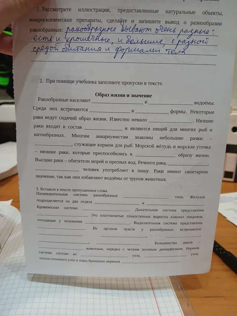 Рассмотрите иллюстрации, предоставленные естественные микроскопические препараты, сделайте и запишите вывод о разнообразии ракообразных.