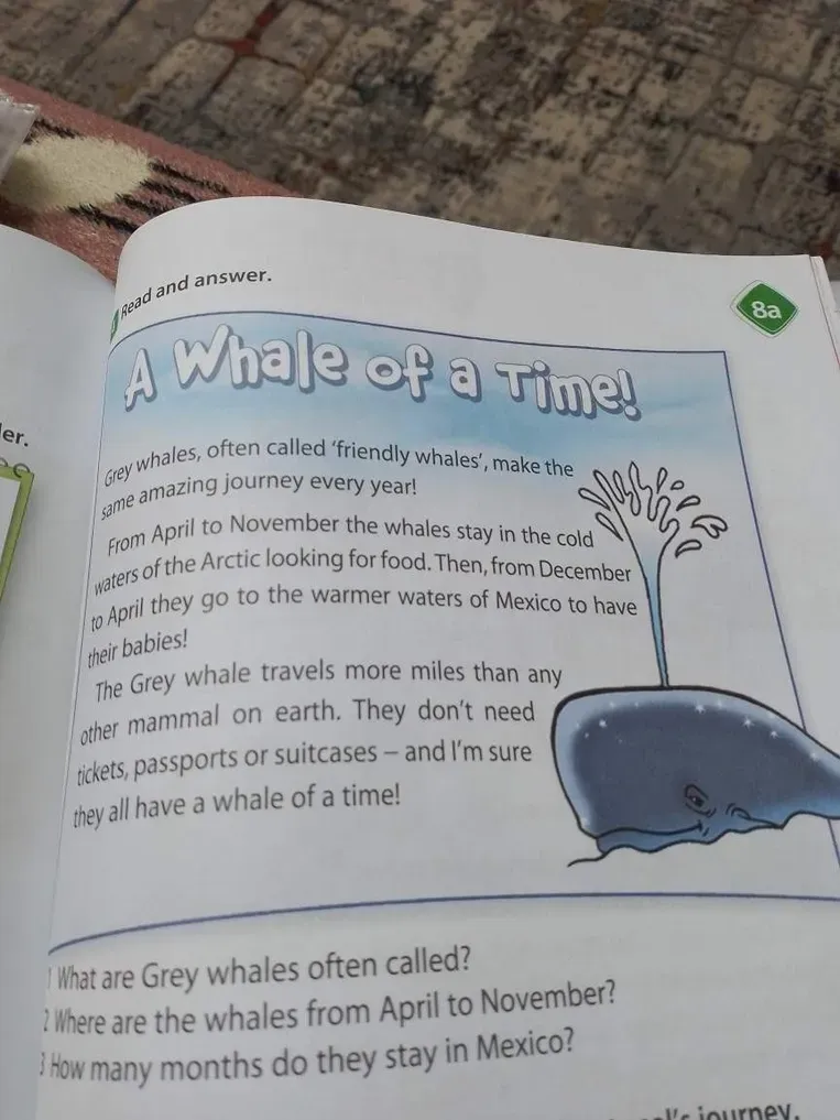 Read and answer. 1 What are Grey whales often called?