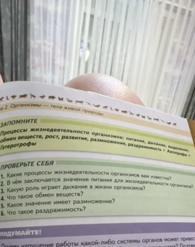 Какие процессы жизнедеятельности организмов вам известны?
