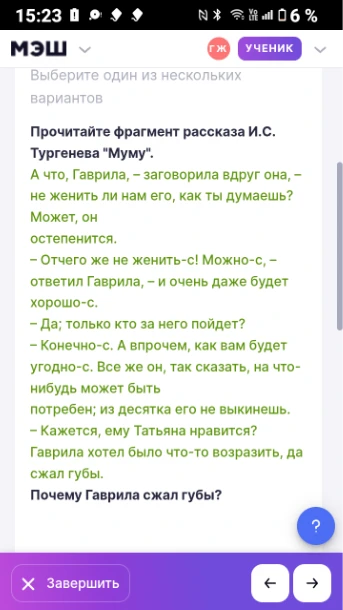 Прочитайте фрагмент рассказа И.С. Тургенева "Муму". Почему Гаврила сжал губы?