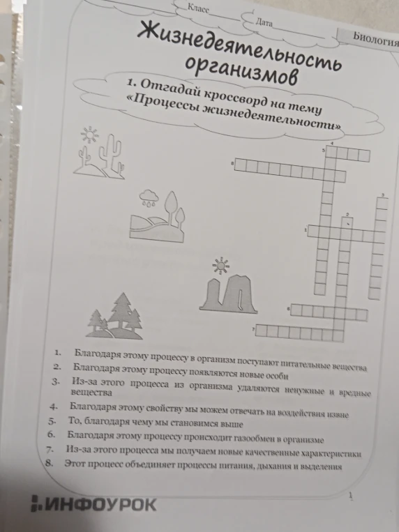 Разгадайте кроссворд на тему «Процессы жизнедеятельности»