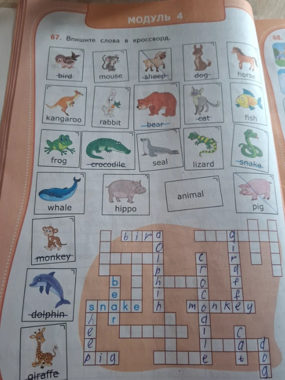 Впишите слова в кроссворд.