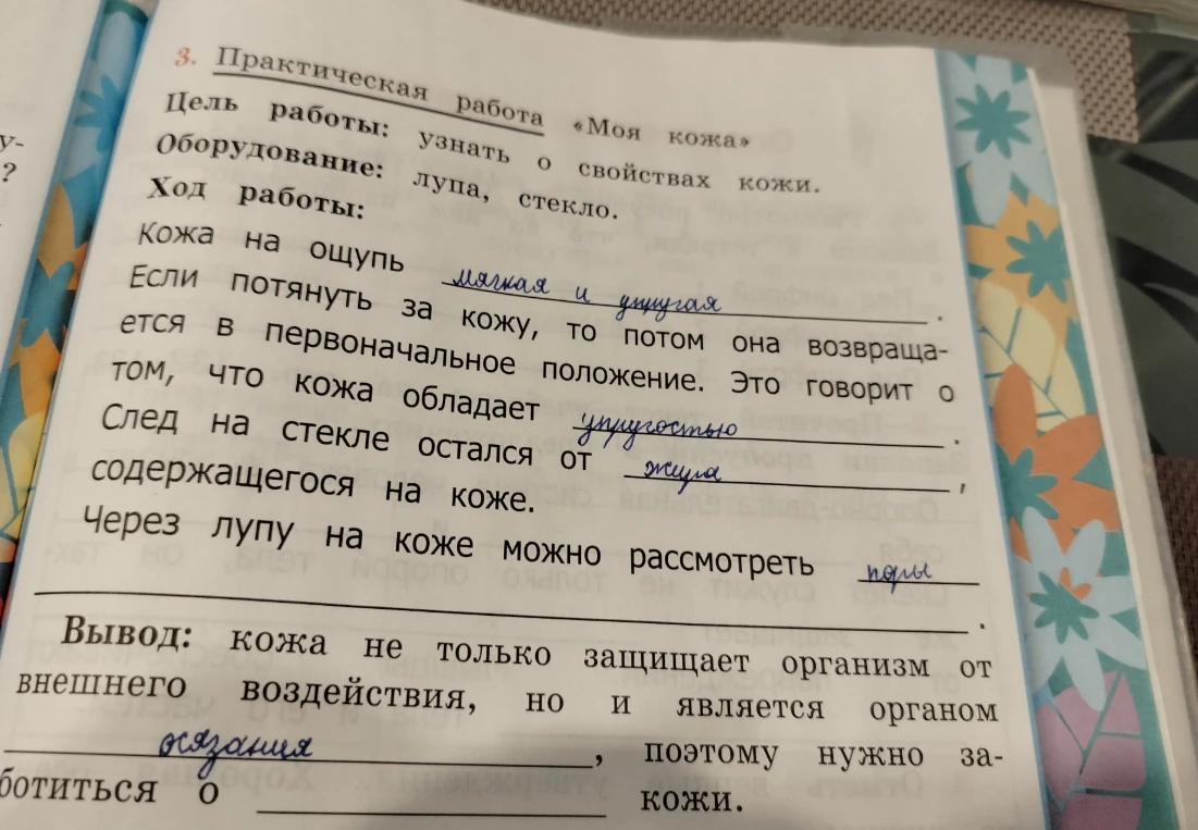 Заполните пропуски в практической работе "Моя кожа".