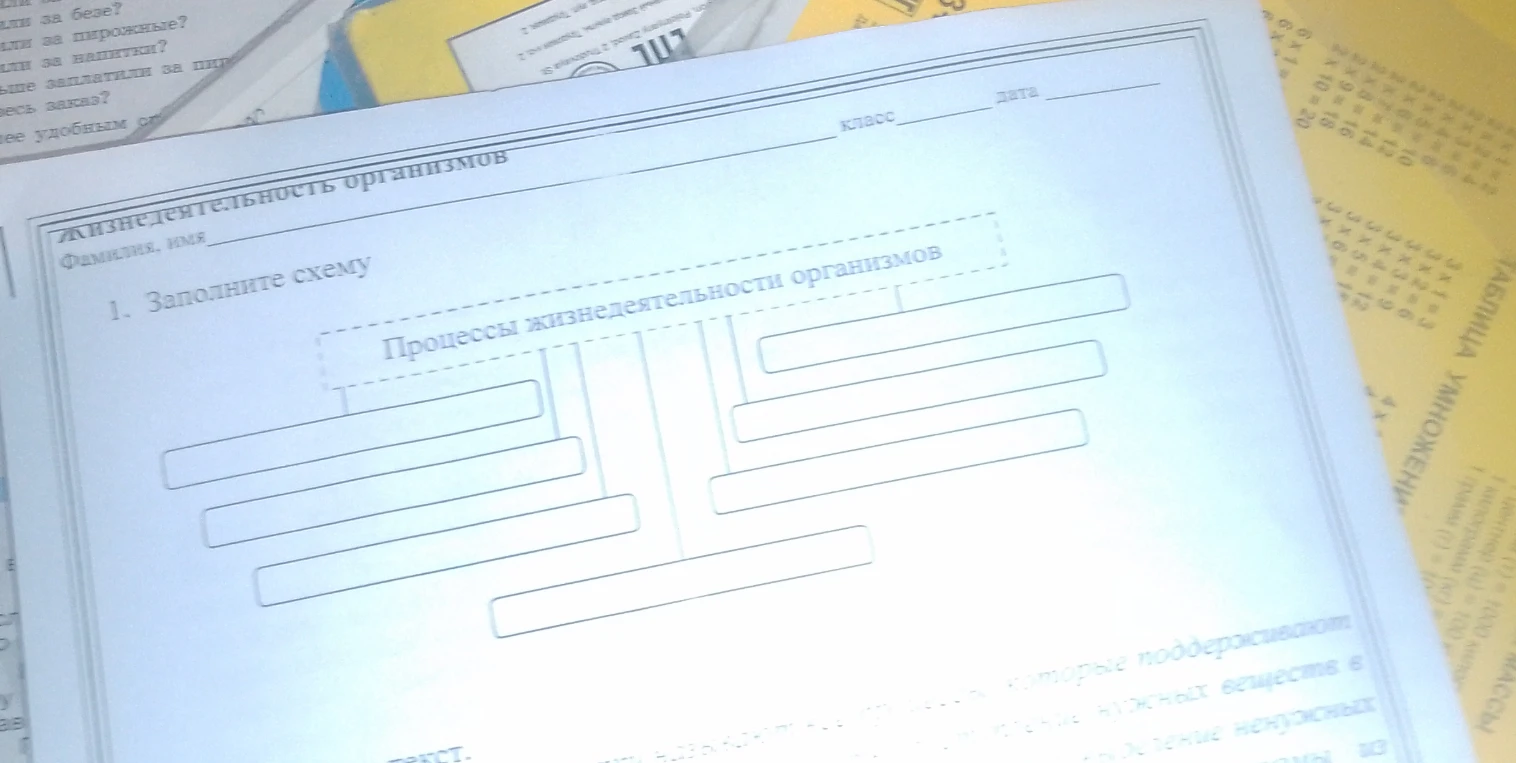 Заполните схему "Процессы жизнедеятельности организмов"