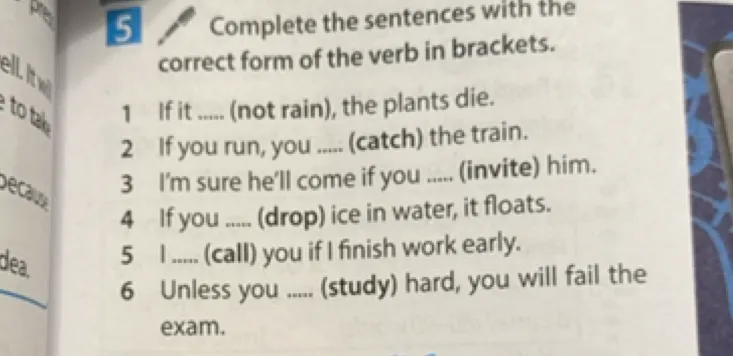 Complete the sentences with the correct form of the verb in brackets.