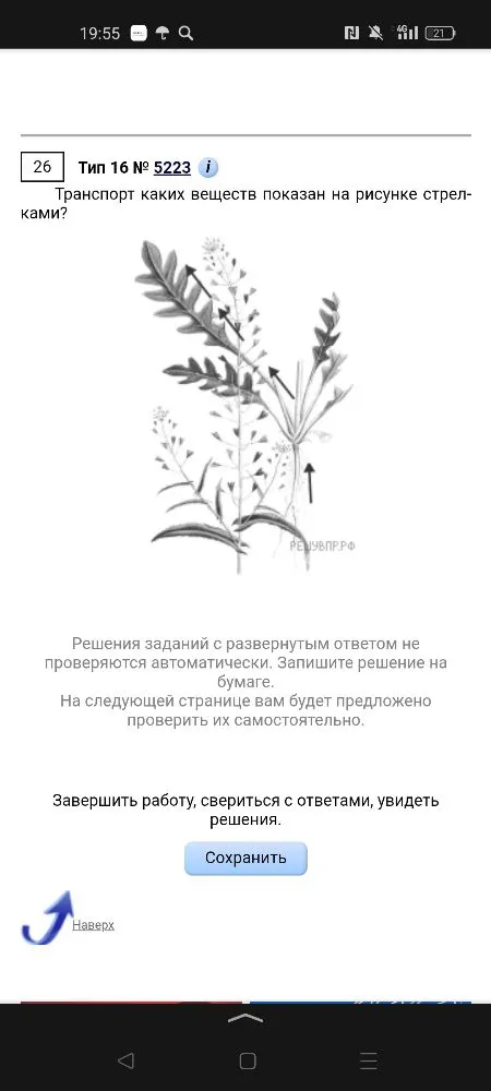 Транспорт каких веществ показан на рисунке стрелками?