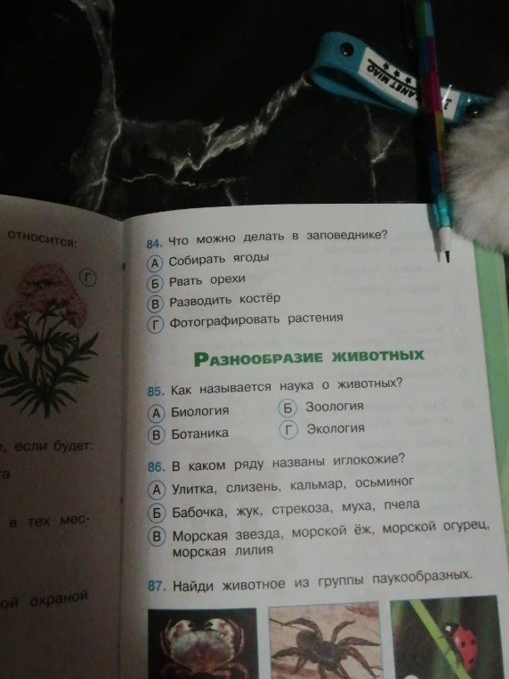 Что можно делать в заповеднике?