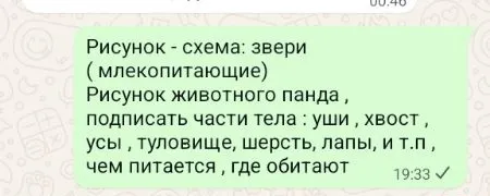 Нарисуй схему: звери (млекопитающие) рисунок животного панда, подписать части тела: уши, хвост, усы, туловище, шерсть, лапы, и т.п., чем питается, где обитают