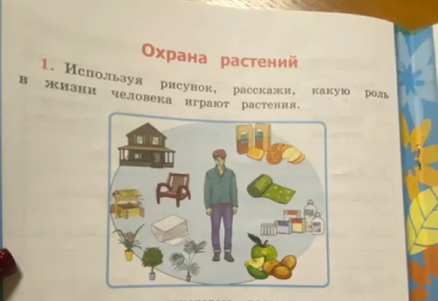 Используя рисунок, расскажи, какую роль в жизни человека играют растения.