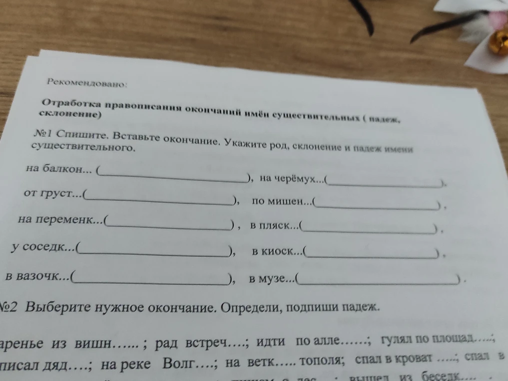 Спишите. Вставьте окончание. Укажите род, склонение и падеж имени существительного.