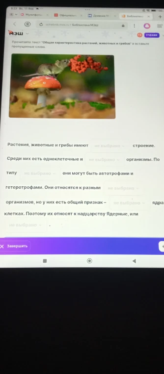 Прочитайте текст "Общая характеристика растений, животных и грибов" и вставьте пропущенные слова.