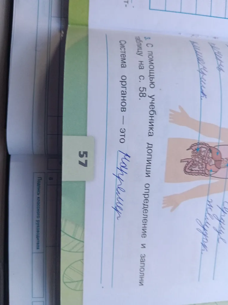 Допишите определение "Система органов — это" и заполните таблицу на с. 58.