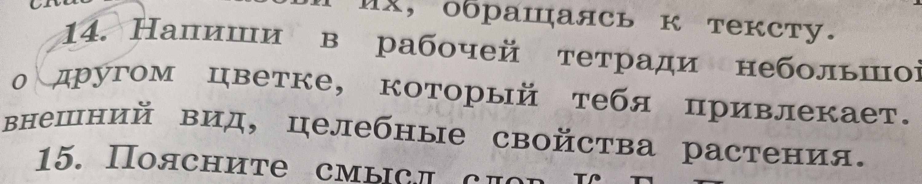 Напиши в рабочей тетради о другом цветке, который тебя привлекает. Опиши внешний вид и целебные свойства растения.