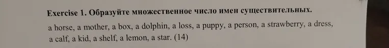 Образуйте множественное число имен существительных.