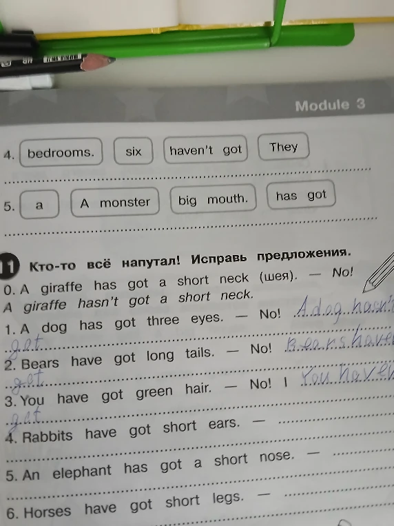 Исправьте предложения.
