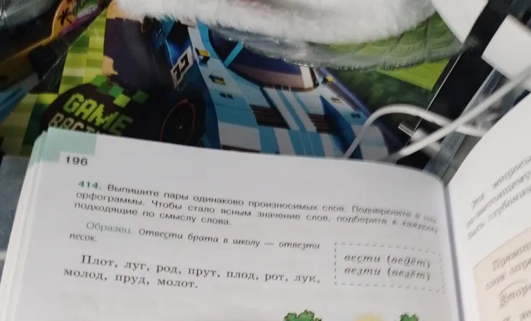 Выпишите пары одинаково произносимых слов. Подчеркните в них орфограммы. Чтобы стало ясным значение слов, подберите к каждому подходящие по смыслу слова.