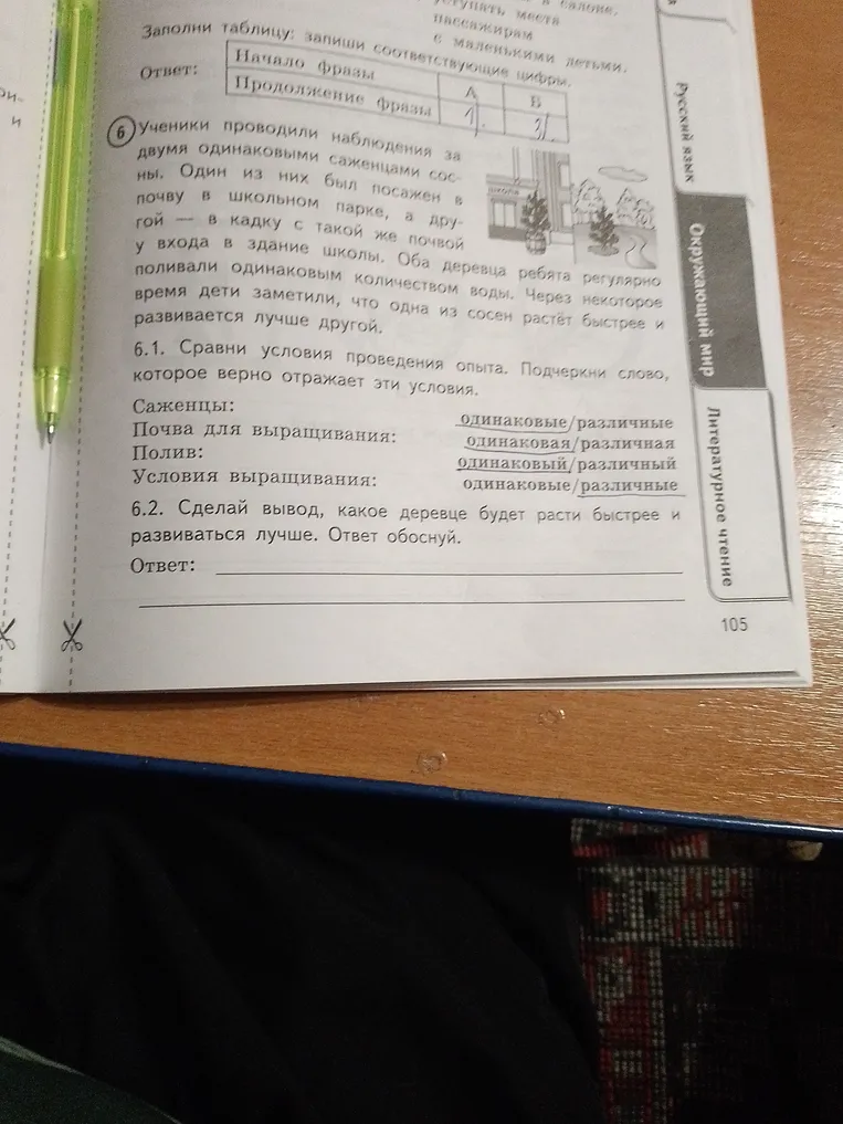 Сравни условия проведения опыта. Подчеркни слово, которое верно отражает эти условия. Саженцы: одинаковые/различные Почва для выращивания: одинаковая/различная Полив: одинаковый/различный Условия выращивания: одинаковые/различные