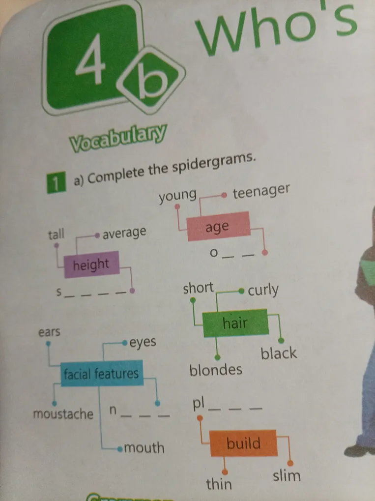 Complete the spidergrams.