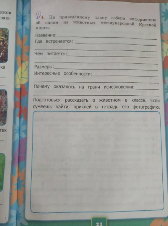 По приведённому плану собери информацию об одном из животных международной Красной книги.
